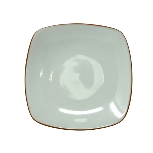Noritake Noritake Colorwave Tera Cotta Square Salad Plate
