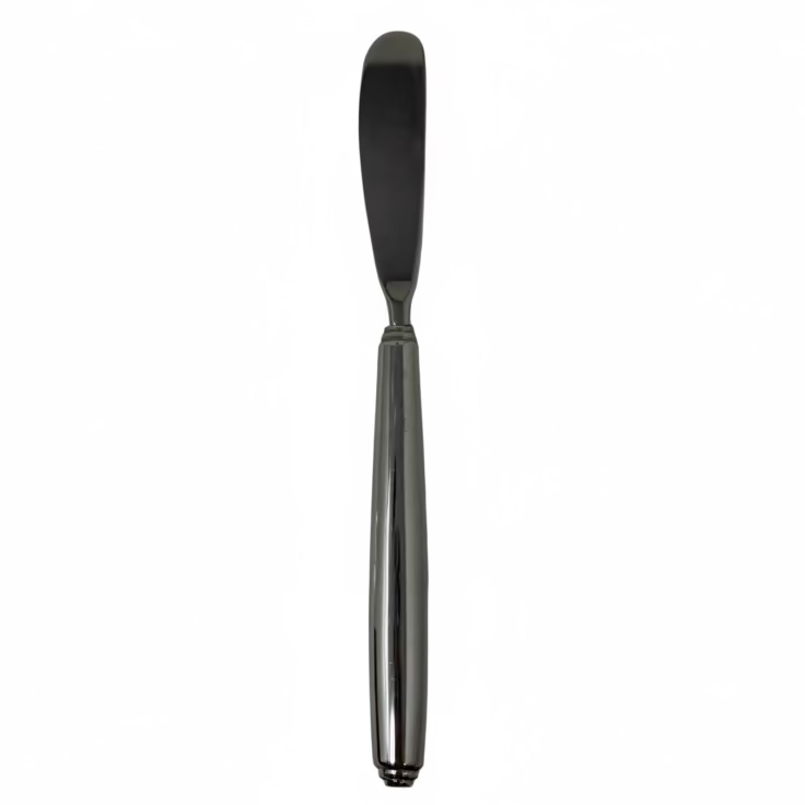 Oneida1 Oneida Obelus Butter Spreader