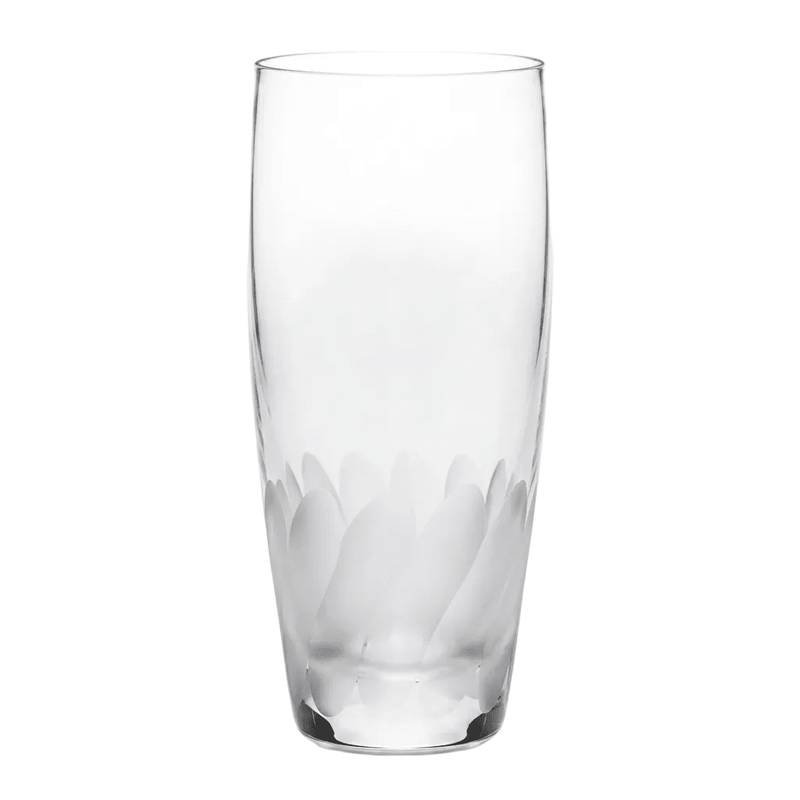 Bohemia Crystal Bohemia Crystal Frosted Swirl Tumbler