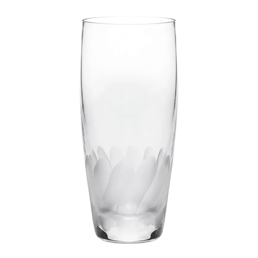 Bohemia Crystal Bohemia Crystal Frosted Swirl Tumbler