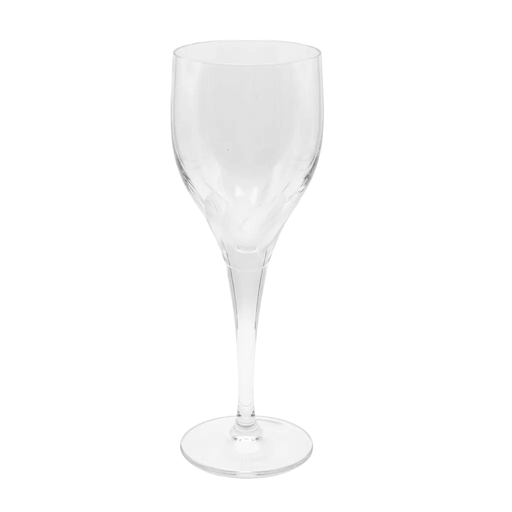 Bohemia Crystal Bohemia Crystal Frosted Swirl Water Goblet
