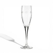 DaVinci Crystal DaVinci Crystal Apuania Fluted Champagne