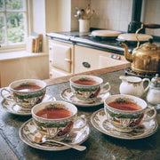 Johnson Brothers Jonson Brothers The Friendly Village Cup & Saucer Set