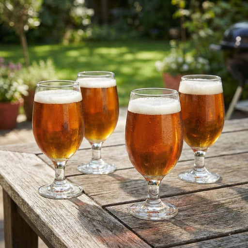 Moda_Moda Eva Craft Beer Glass - Set of 4_PS18409