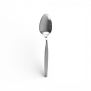 Oneida Oneida Frostfire Serving spoon