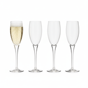 Persona Persona Champagne Flute - Set of 4