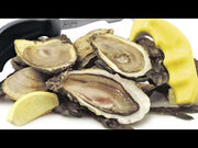 Swissmar Shucker Paddy Malpeque Oyster Knife