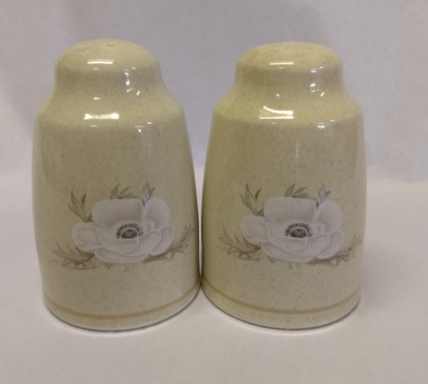 Royal Doulton Avon Salt & Pepper Shakers by Royal Doulton   