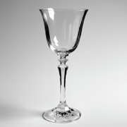 Schott Zwiesel Schott Zwiesel Prestige Water Goblet