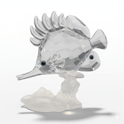 Swarovski SWAROVSKI Crystal BUTTERFLY Longnose FISH