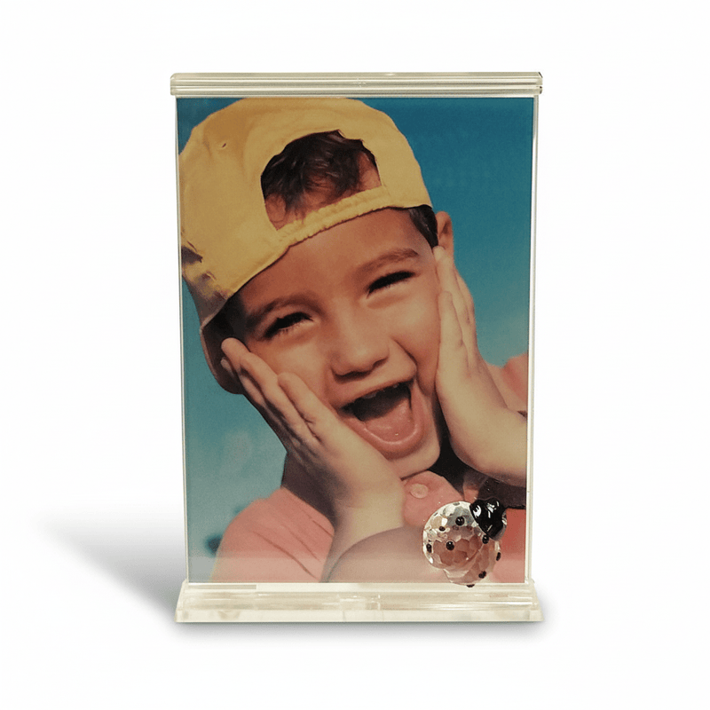 Swarovski SWAROVSKI Crystal LADYBUG PICTURE FRAME