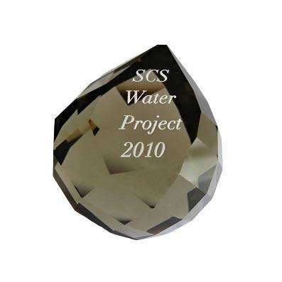 Swarovski Swarovski Crystal SCS Water Project Paperweight   