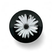 Wedgwood Wedgwood Bloomers Salad Plate Night & Day (Daisy White)