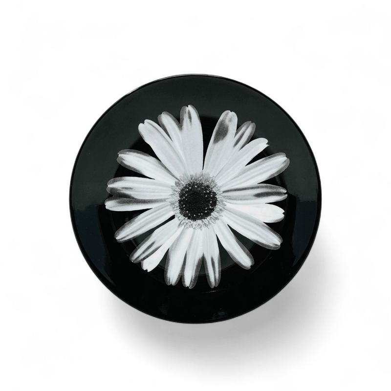 Wedgwood Wedgwood Bloomers Salad Plate Night & Day (Daisy White)