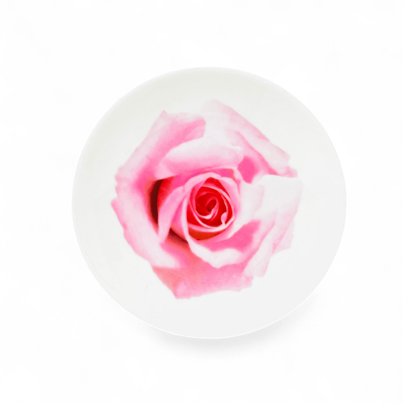 Wedgwood Wedgwood Bloomers Salad Plate Pink Rose