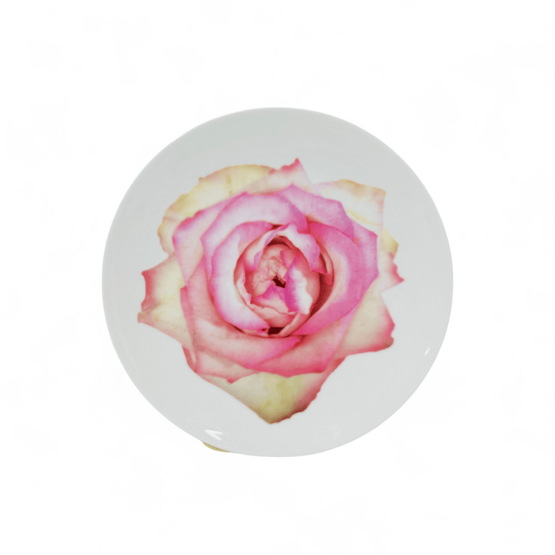 Wedgwood Wedgwood Bloomers Salad Plate Pin & Cream Rose