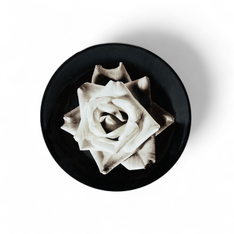 Wedgwood Wedgwood Bloomers Salad Plate Black Rose