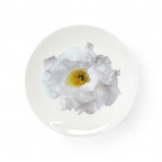 Wedgwood Wedgwood Bloomers Salad Plate White Lisianthus