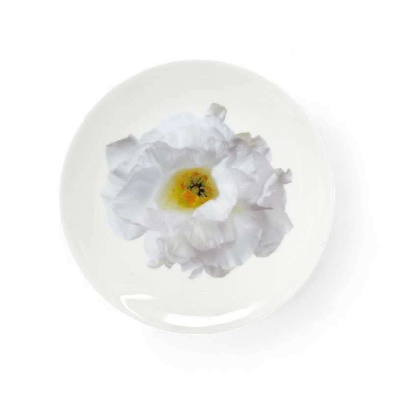 Wedgwood Wedgwood Bloomers Salad Plate White Lisianthus