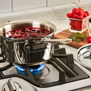 All-Clad All-Clad Stainless D5 Polished Saucepan with Lid   