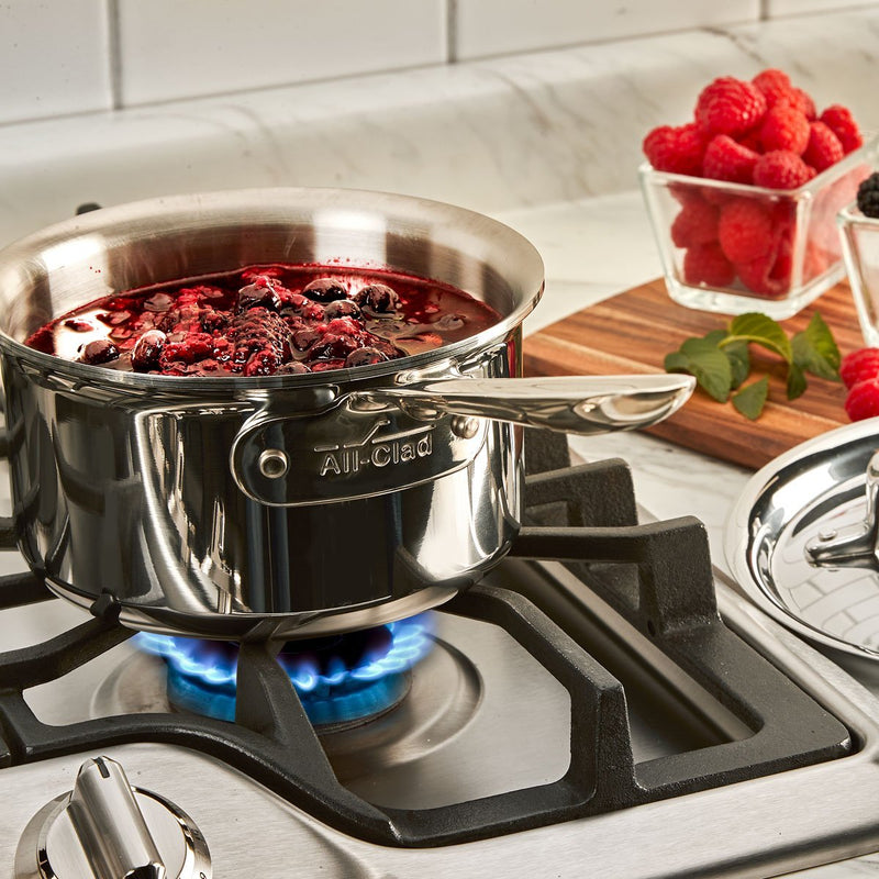 All-Clad All-Clad Stainless D5 Polished Saucepan with Lid   
