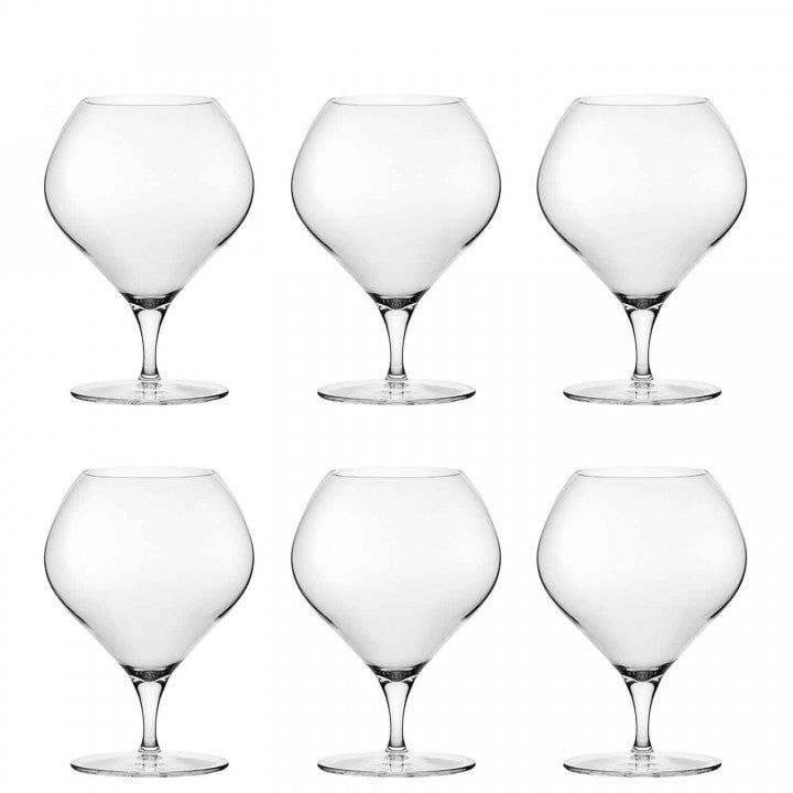 Browne & Co Nude Fantasy Cognac Stemware Glass Set of 6