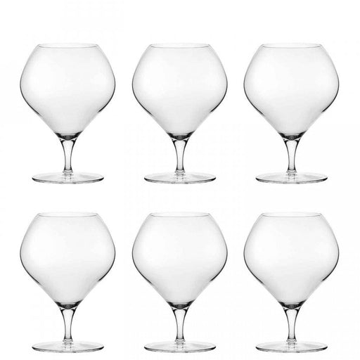 Fantasy Cognac Glass - Set of 6 Glassware Browne & Co   