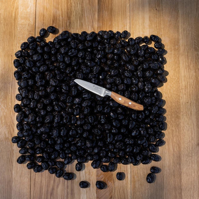 Wusthof Wusthof Amici 3.5" (cm) Paring Knife   